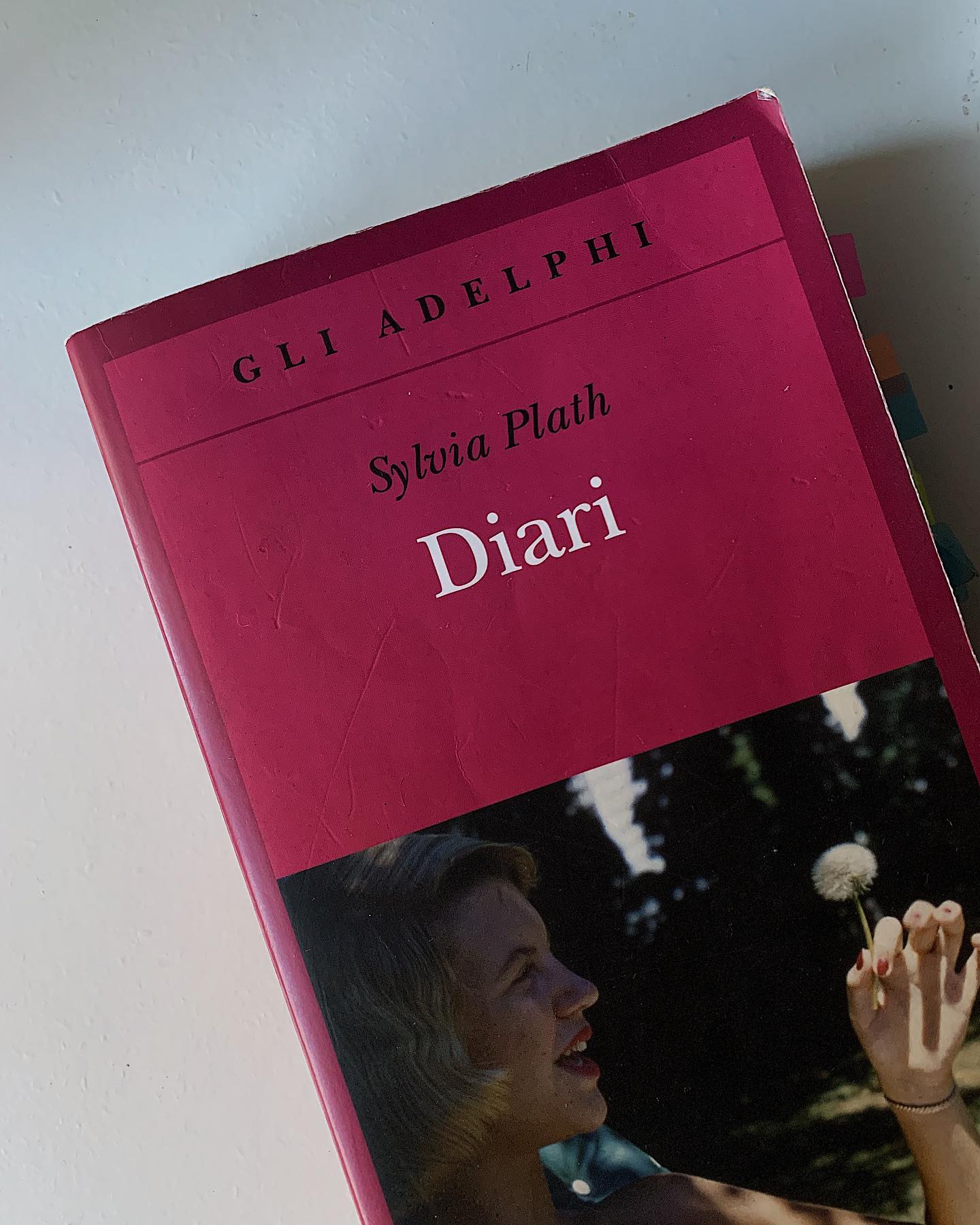 E allora impara a vivere: i Diari di Sylvia Plath ~ Angelica Elisa